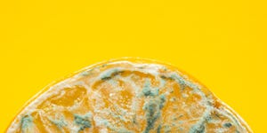 spoiled lemon halves with mold close up on a yellow background