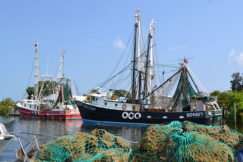 sponge boat  rigged with netting at docks of tarpon springs