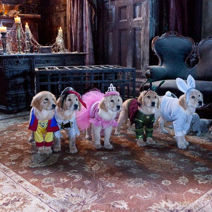 disney halloween movies spooky buddies