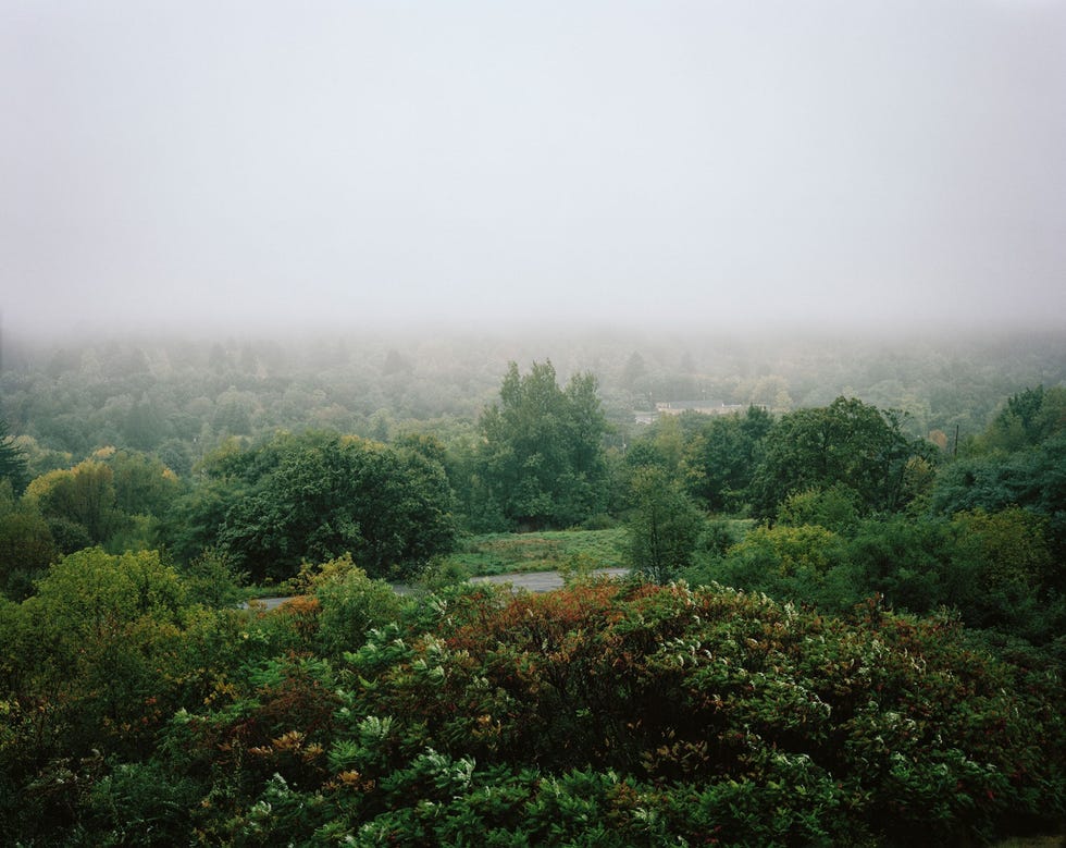 6. CENTRALIA, UNITED STATES CENTRALIA VERENIGDE STATENDit plaatsje in Pennsylvania veranderde in een moderne spookstad nadat er brand uitbrak in een kolenmijn Deze woedt inmiddels sinds begin jaren zestig onafgebroken verder onder de grond De verlaten huizen de vervallen wegen en de rookpluimen dragen bij aan de griezelige sfeer in dit ooit zo vredige plaatsje