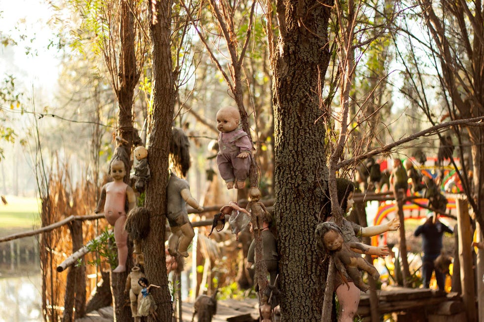 POPPENEILAND MEXICO  Op het Isla de las Muecas hangen poppen in verschillende stadia van verval in de bomen rond de restanten van het Xochimilcomeer in MexicoStad De poppen werden oorspronkelijk opgehangen om de geest van een verdronken kind tevreden te stellen waarna de poppen een populaire griezelattractie zijn geworden voor reizigers die dapper genoeg zijn om de plek te bezoeken