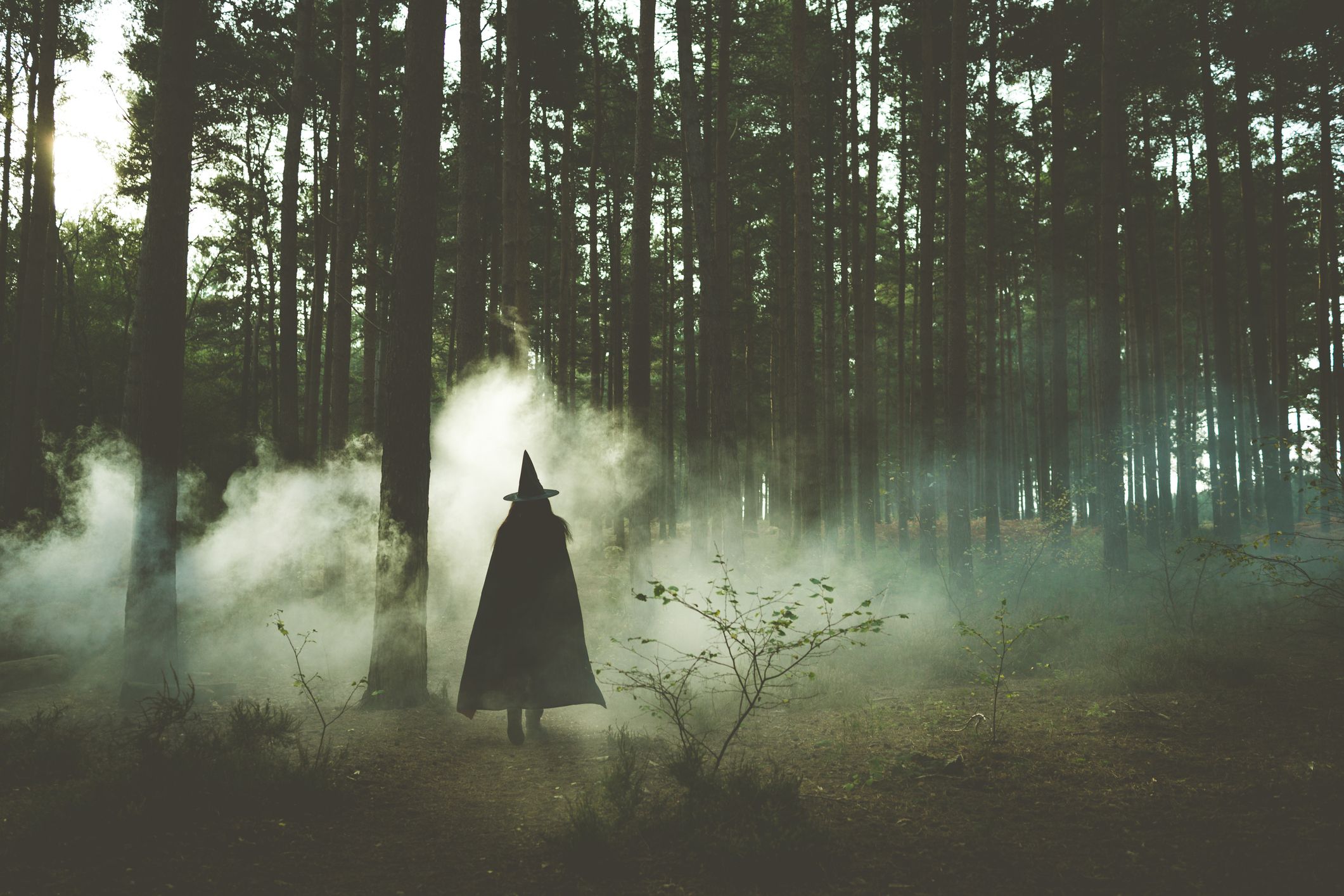 40 Best Witch Quotes to Share on Instagram in 2023