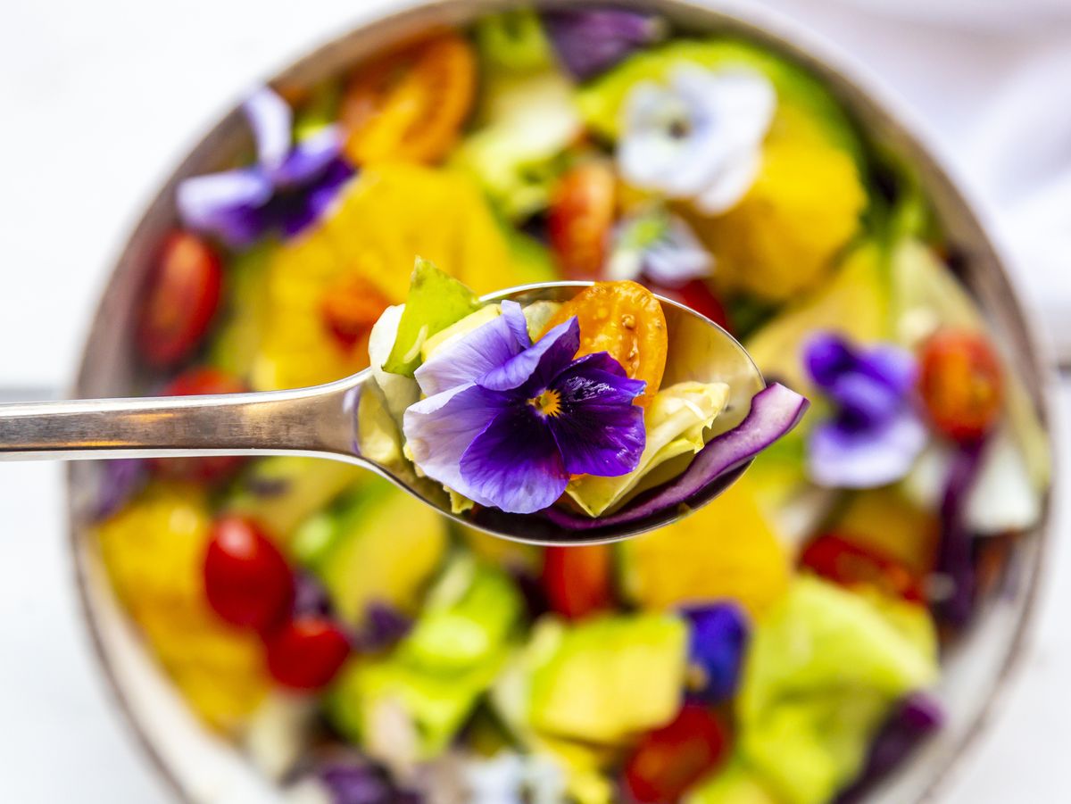The 10 Best Edible Flowers To Decorate Your Food, According To A  Nutritionist