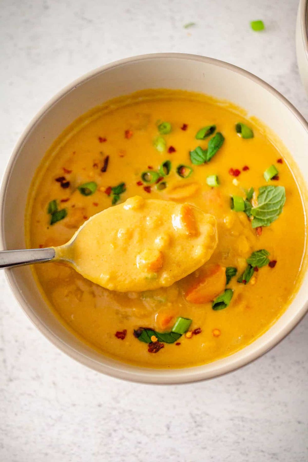 https://hips.hearstapps.com/hmg-prod/images/spoonful-of-creamy-carrot-and-lentil-soup-held-over-bowl-1676304078.jpeg?crop=1xw:1xh;center,top&resize=980:*