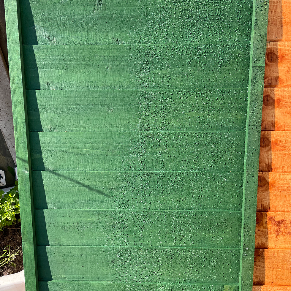 how we test exterior paints