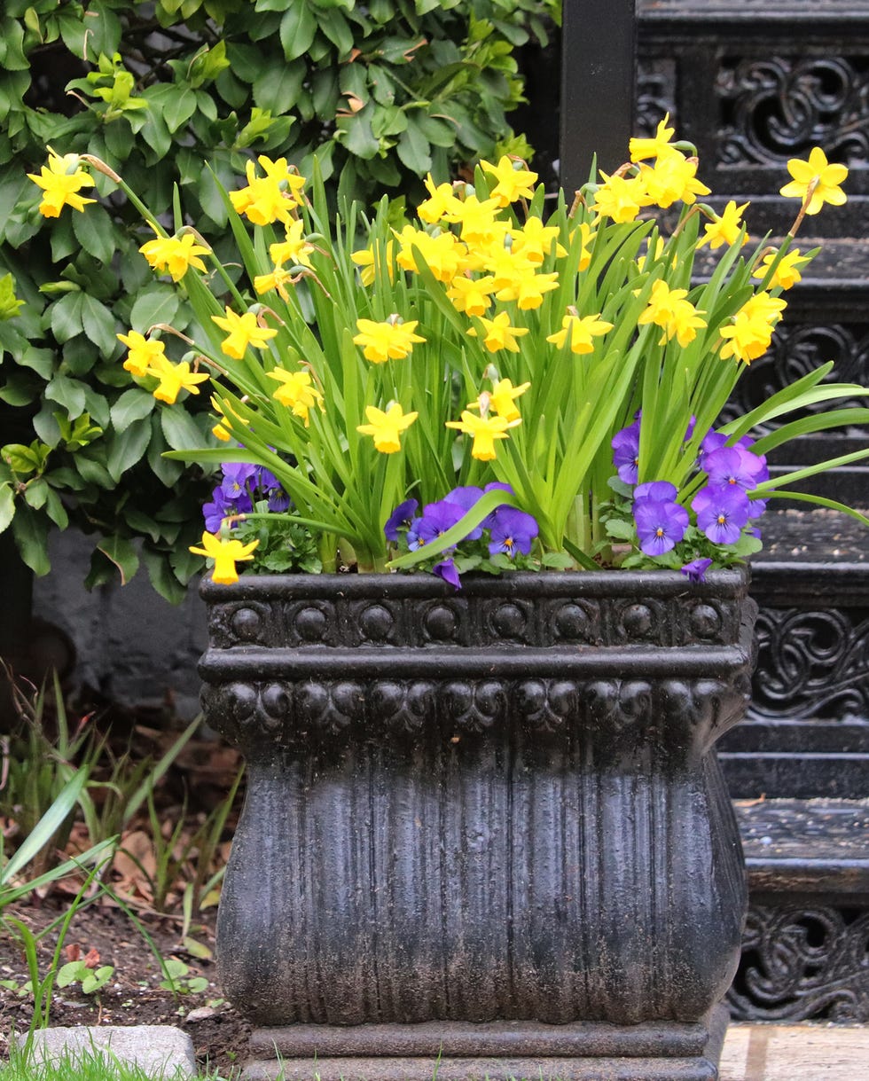 container gardening ideas