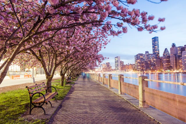 Best time to visit New York: New York in April and May