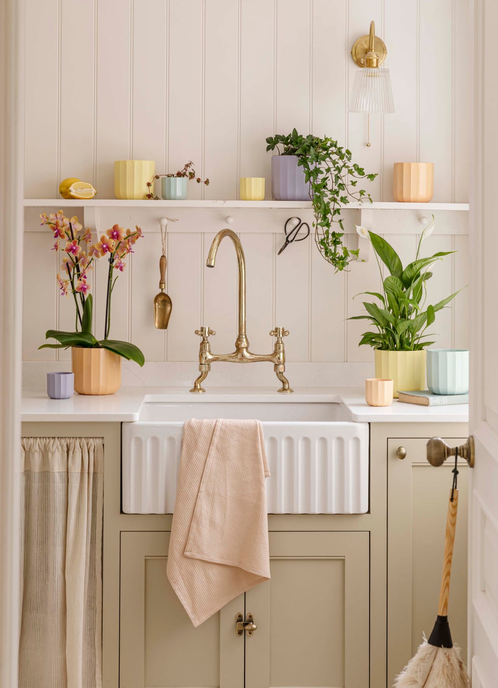 Functionally designed kitchen area with plants and modern decor