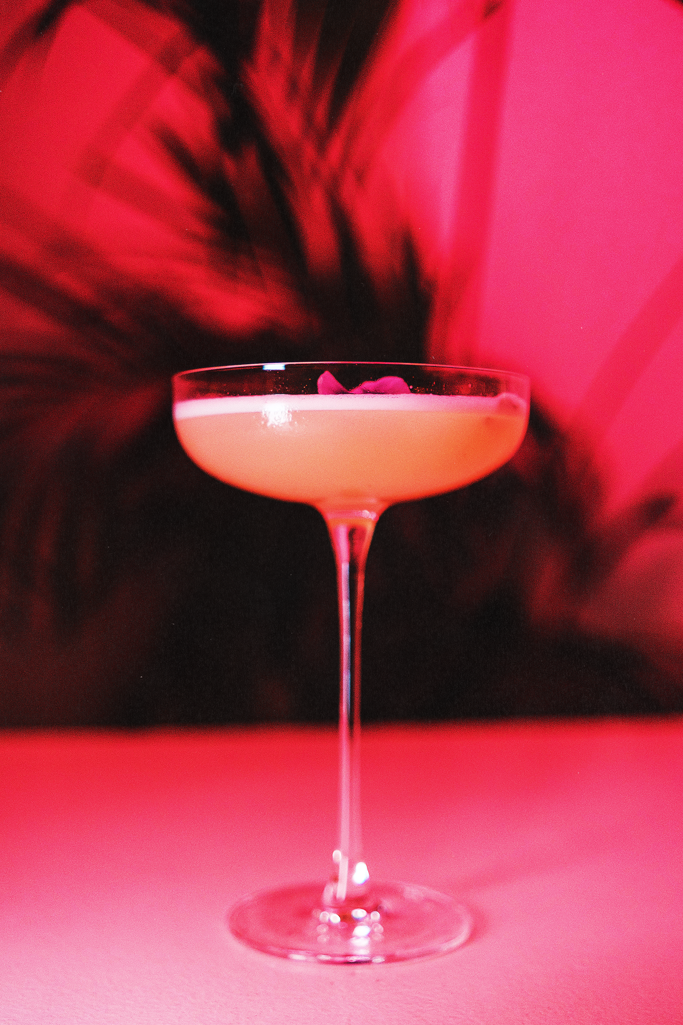 Belvedere Pink Grapefruit Vodka: Just in Time for Summer Cocktails
