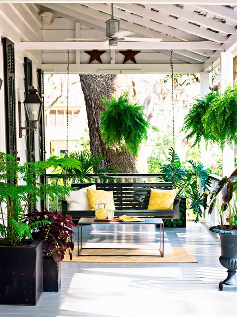 outdoor area with bench and ferns