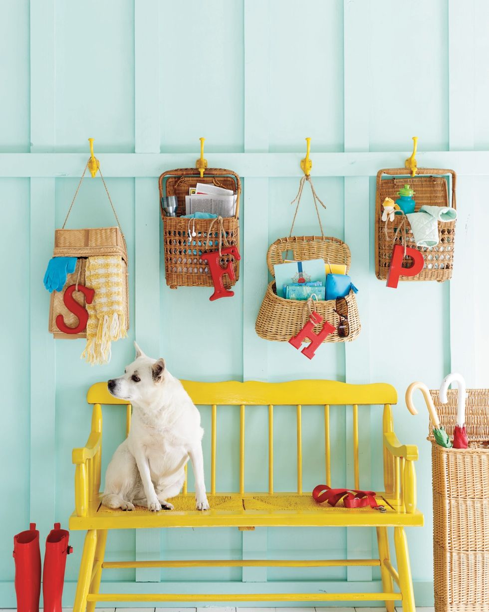 blue entryway with dog sitting on yellow bench baskets with personalized letters hang on the wall above