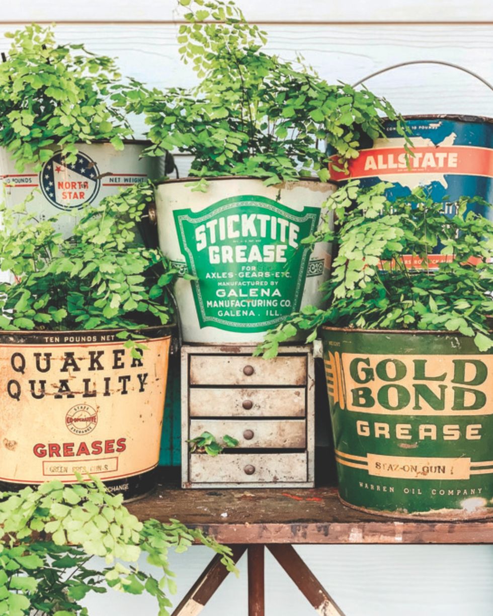 vintage grease pails filled with soil and plants on a wooden table for a living spring decoration