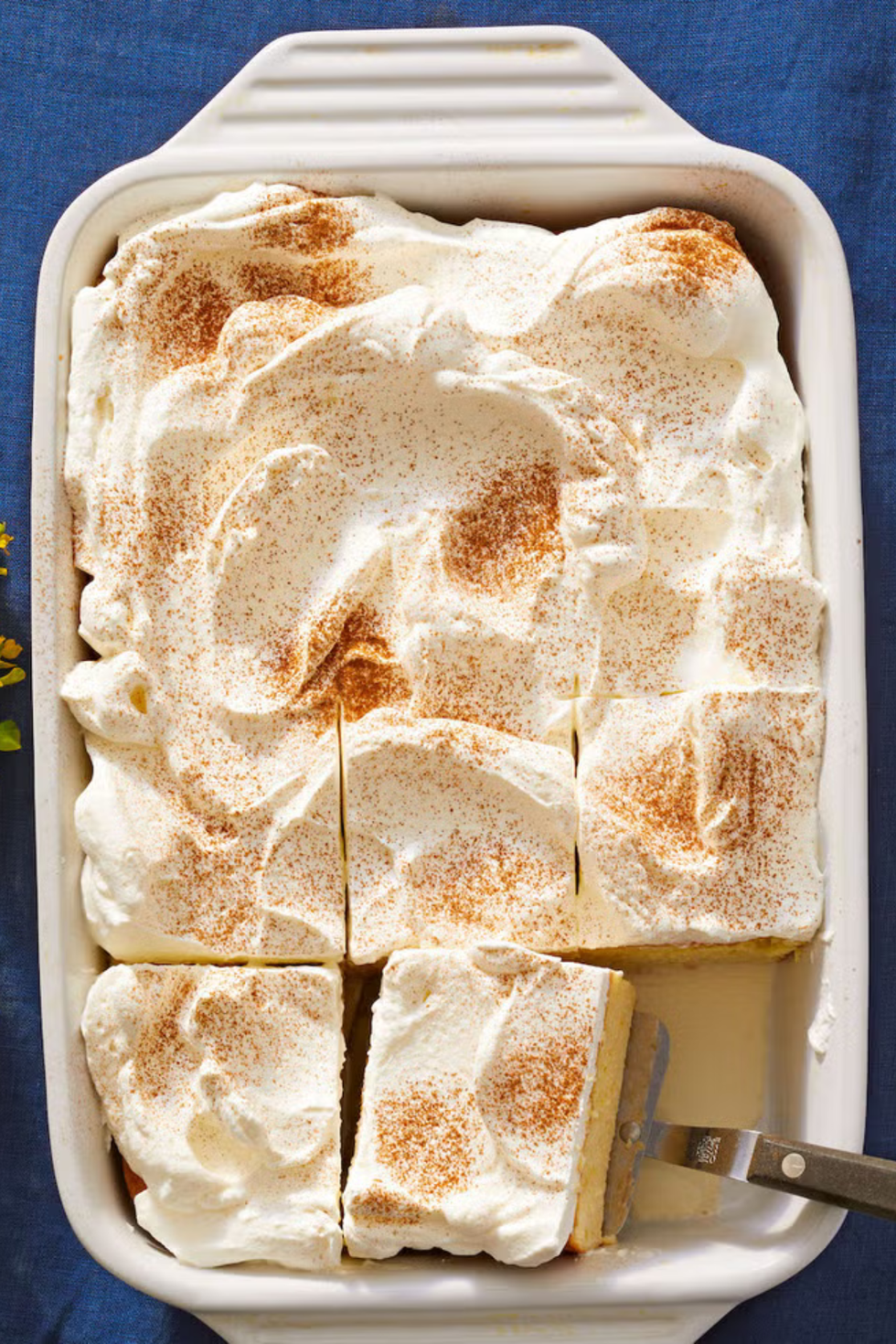 tres leches cake with a dusting of cinnamon on top