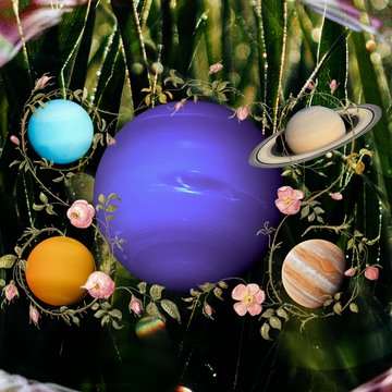 a group of planets surrounded by flowers
