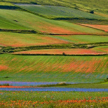 dove si trova il nuovo sito unesco italiano del 2023