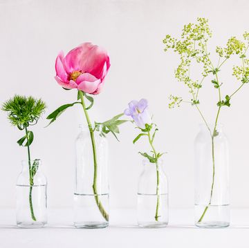 Spring flowers in glass vases