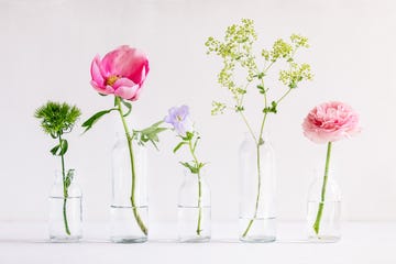 6 flores que pueden mejorar tu salud mental