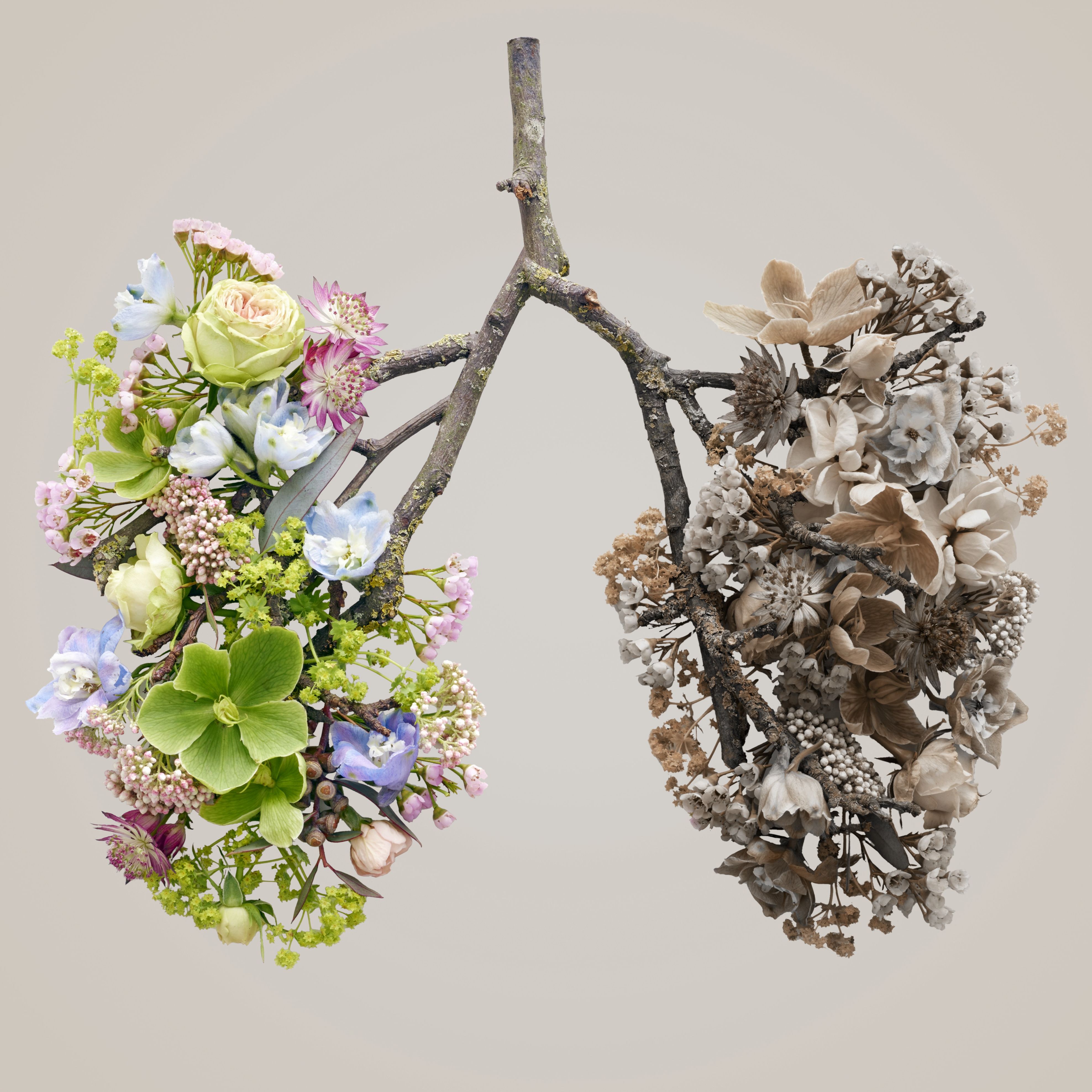 spring flowers representing human lungs