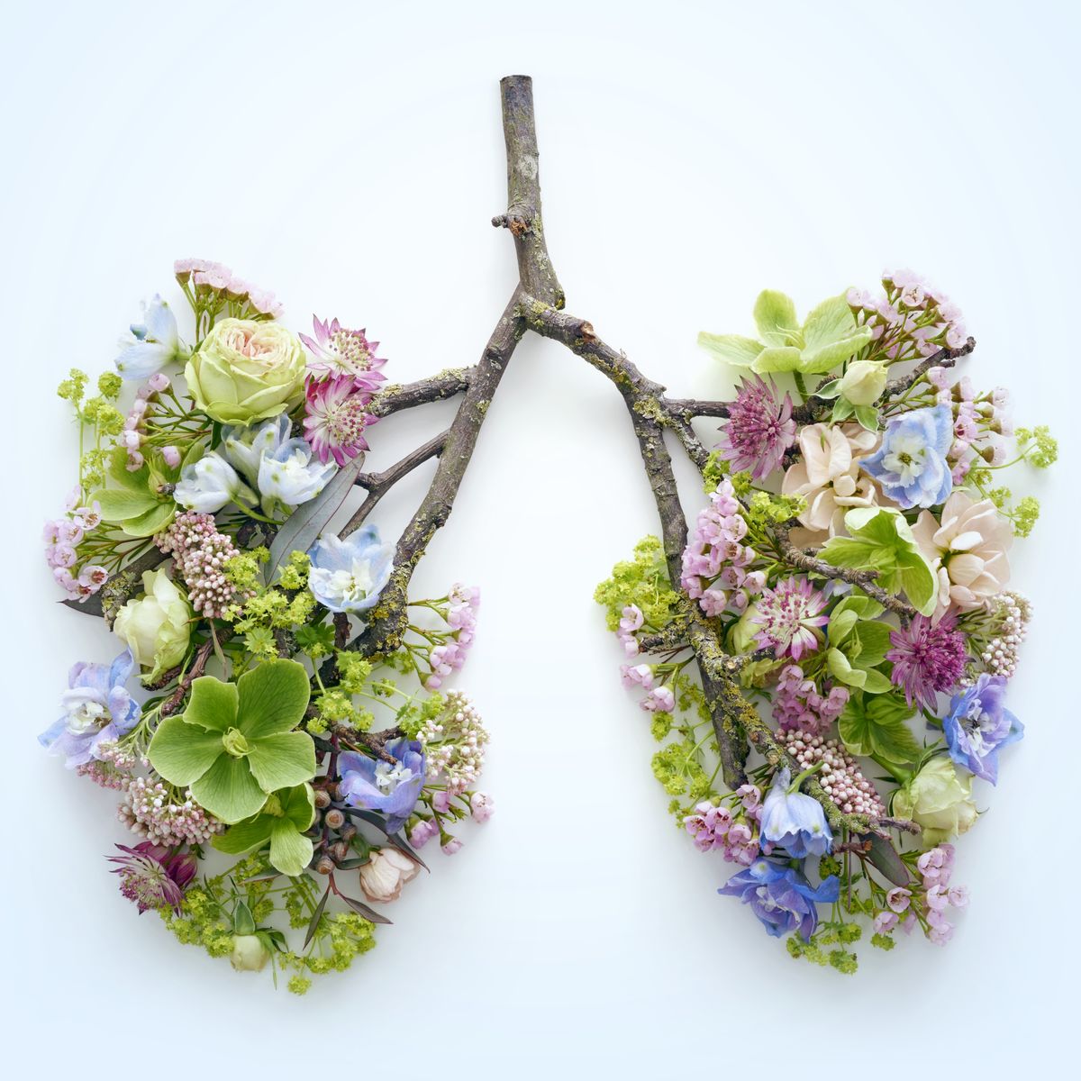 spring flowers representing human lungs