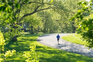 spring fresh green trees surround park pathway, and people walks and runs on it in central park new york spring sunlight illuminates trees and pathway