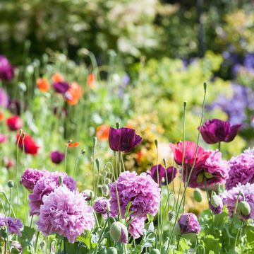 7 easy ways to get your garden in shape for spring