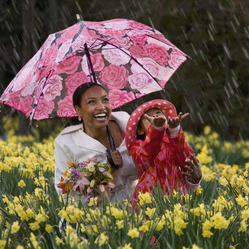 100 Funny Spring Jokes - Best Jokes for Spring