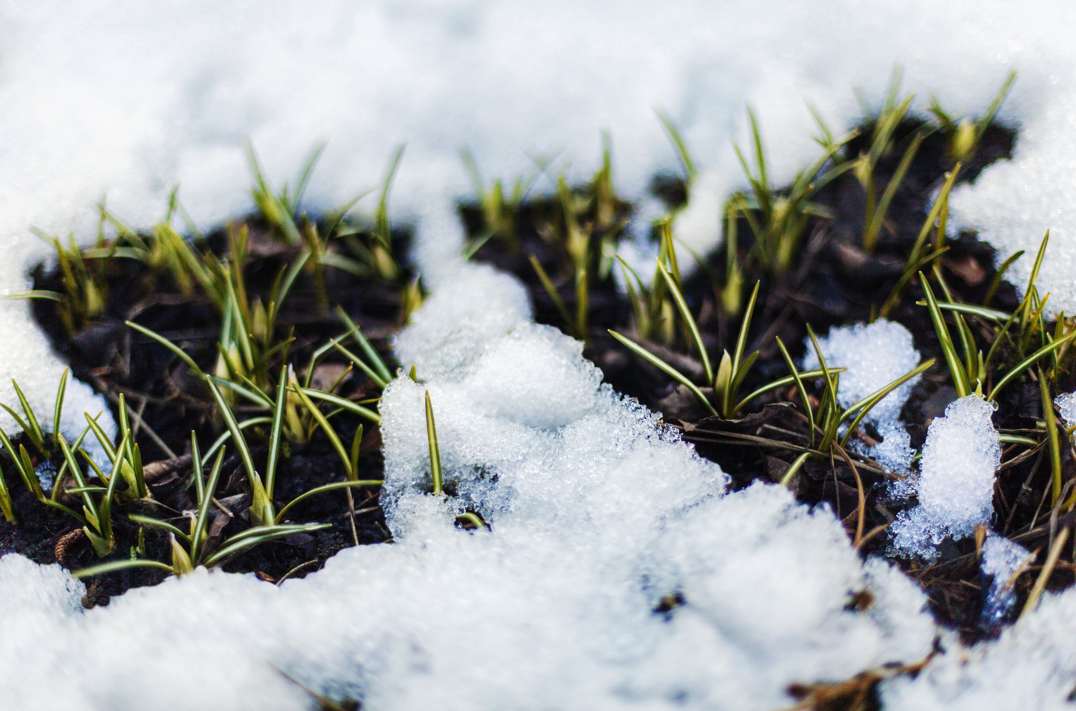 Prepping my yard for Spring with Rubbermaid!