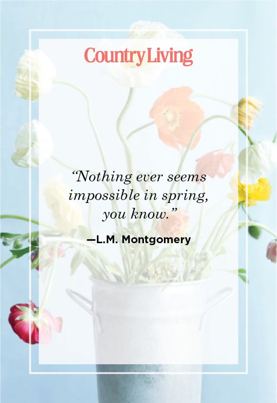 quote from lm montgomery about spring