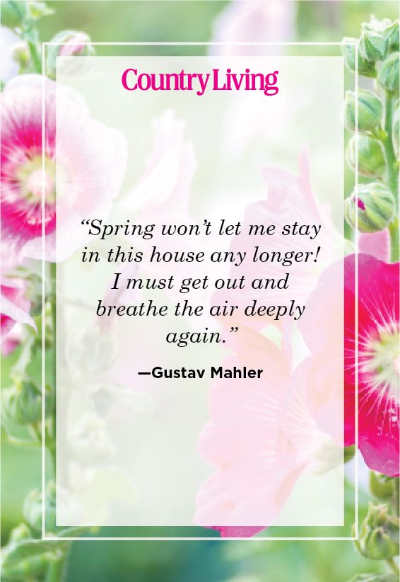 58 Short Spring Quotes 2023 - Quotes about Spring for Instagram