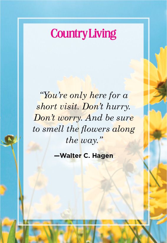 beautiful spring morning quotes