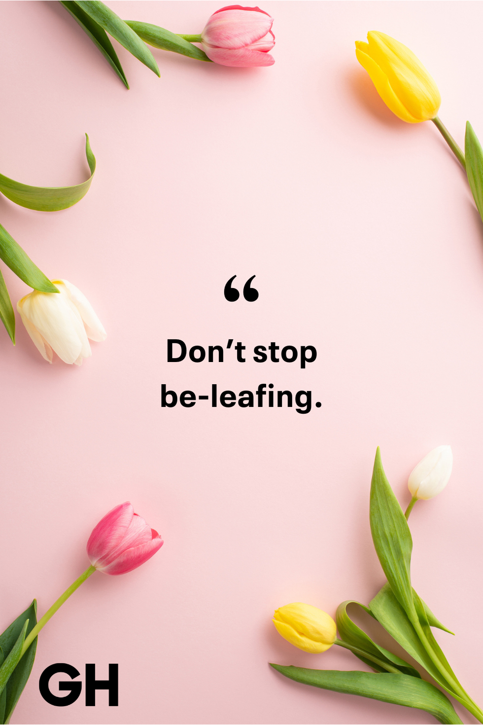 dont stop beleafing