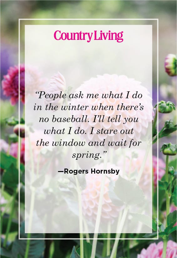 58 Short Spring Quotes 2023 - Quotes about Spring for Instagram