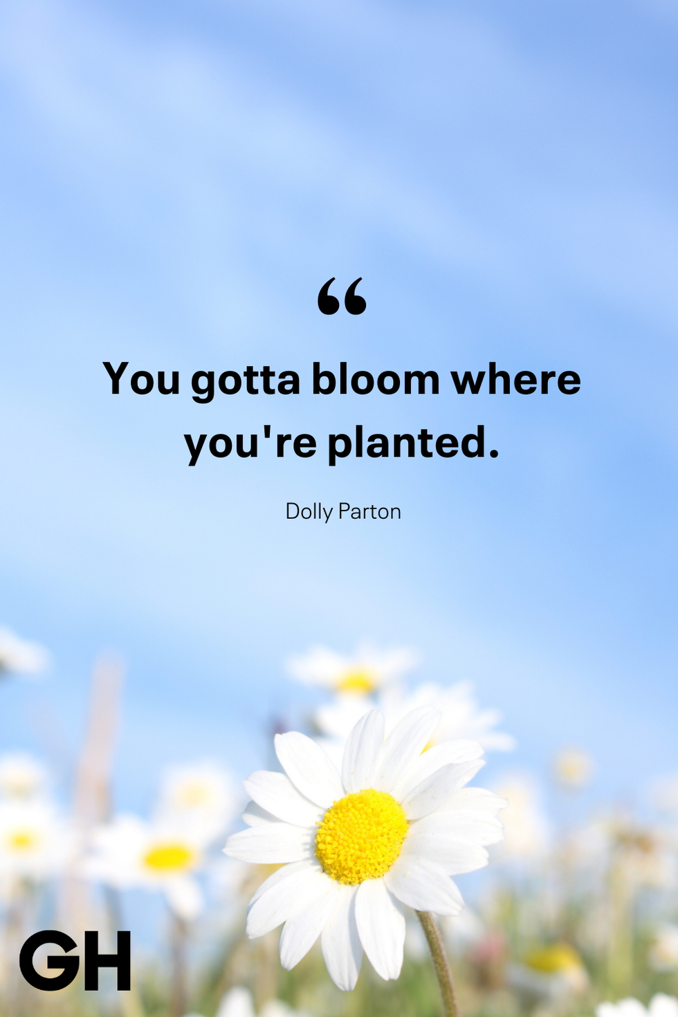 Bloom where you are planted {10th Anniversary Verse Card} Bloom where you are planted {10th Anniversary Verse Card}