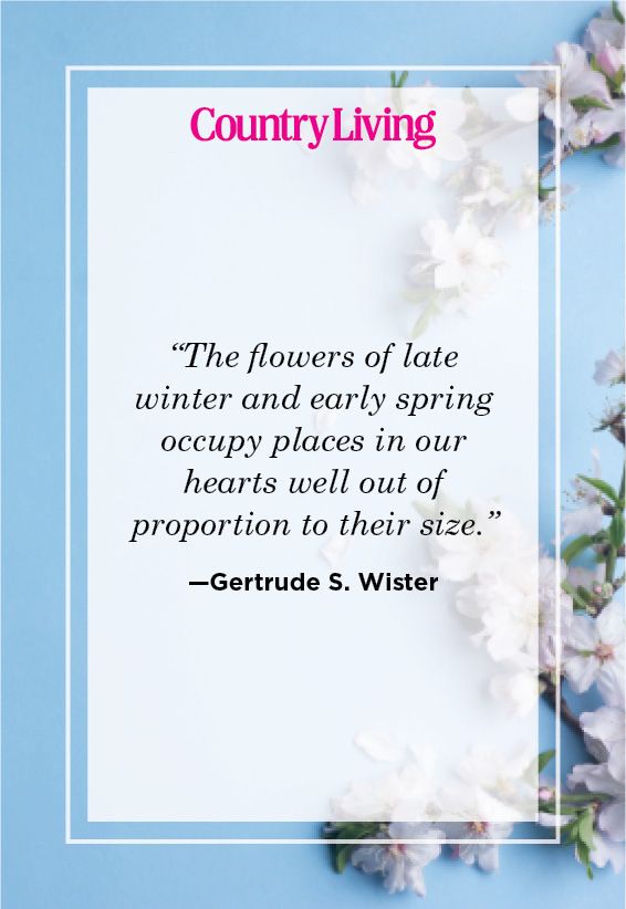 spring quote