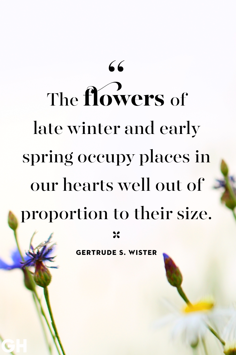 Prepare now for the Winter & early Spring! Winter is the perfect