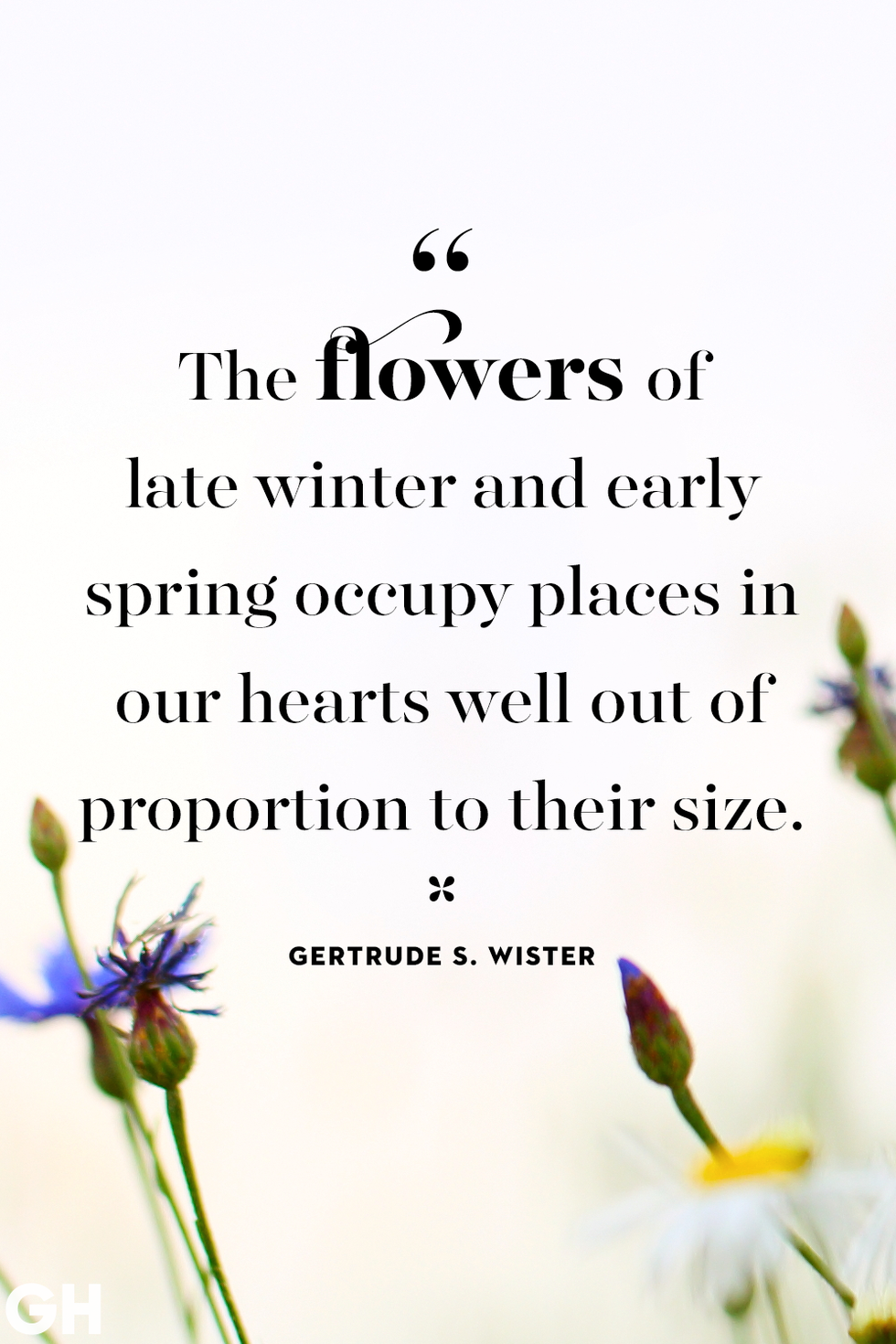 spring quotes gertrude s wister