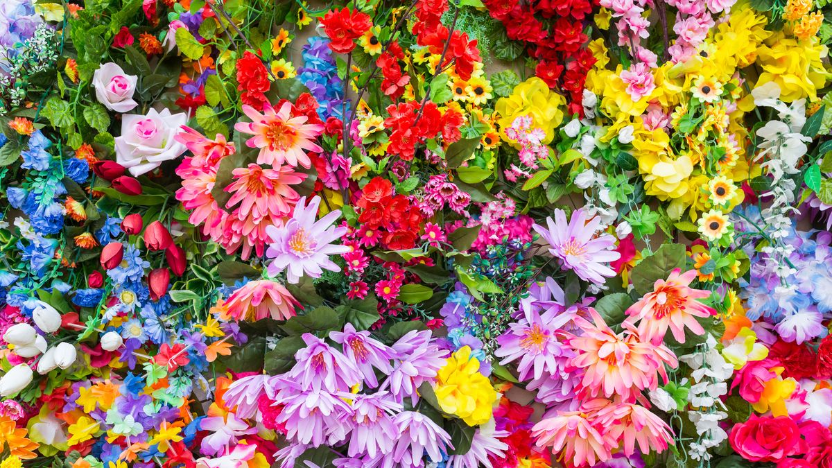 https://hips.hearstapps.com/hmg-prod/images/spring-quotes-lead-image-array-of-colorful-flowers-1674753050.jpg?crop=1xw:0.84375xh;center,top&resize=1200:*
