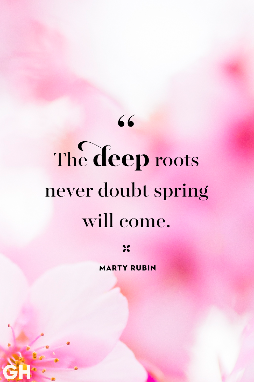 spring quotes marty rubin