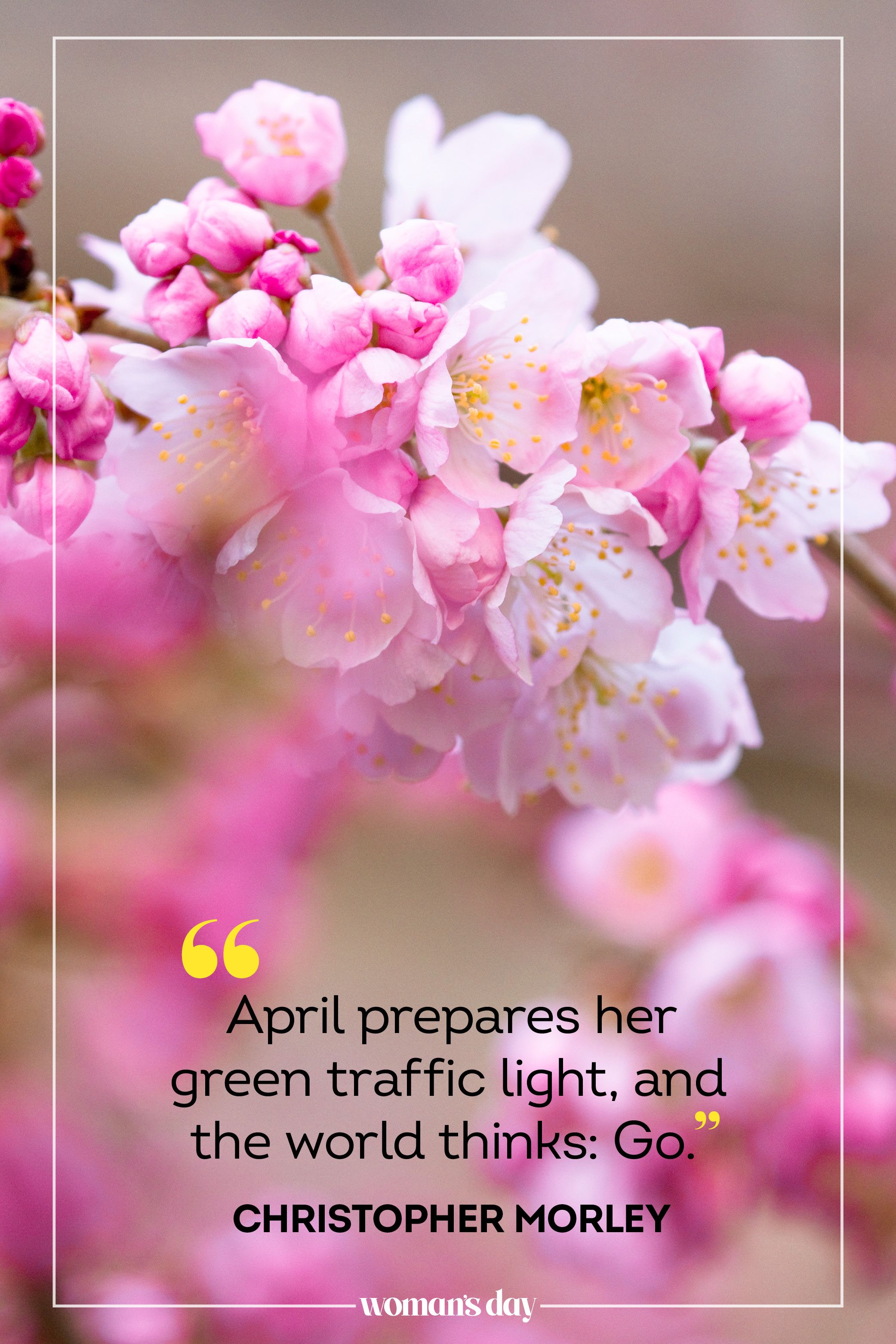 40+ Spring Quotes to Warm Up Your Spirits — Quotes to Welcome Spring