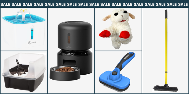 amazon pet deals