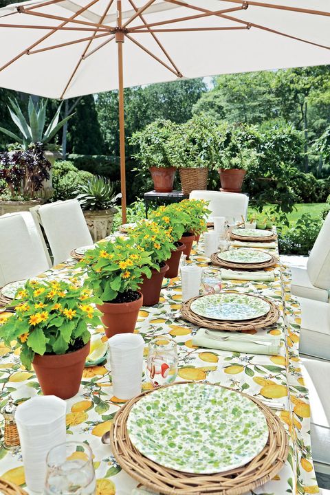 Meal, Botany, Table, Brunch, Garden, Plant, Buffet, Botanical garden, Flower, Backyard, 