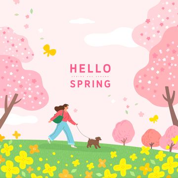 spring template