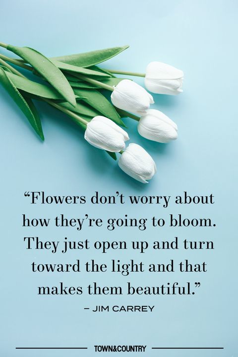 white tulips and a quote