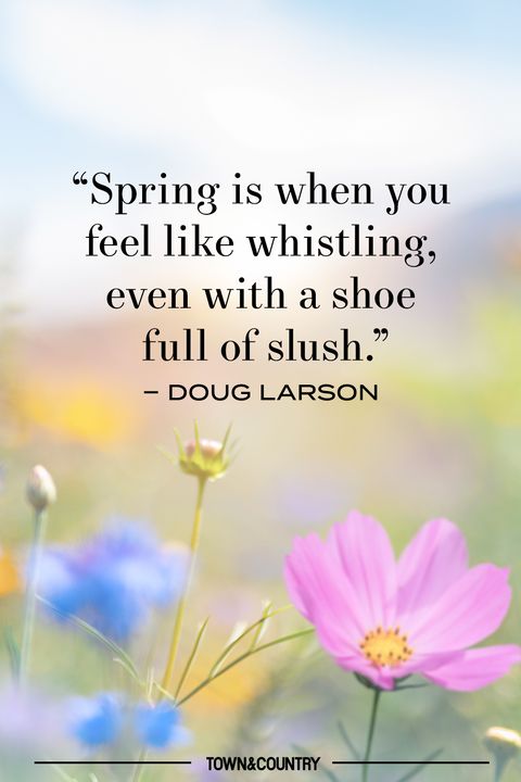 spring flowers and quote