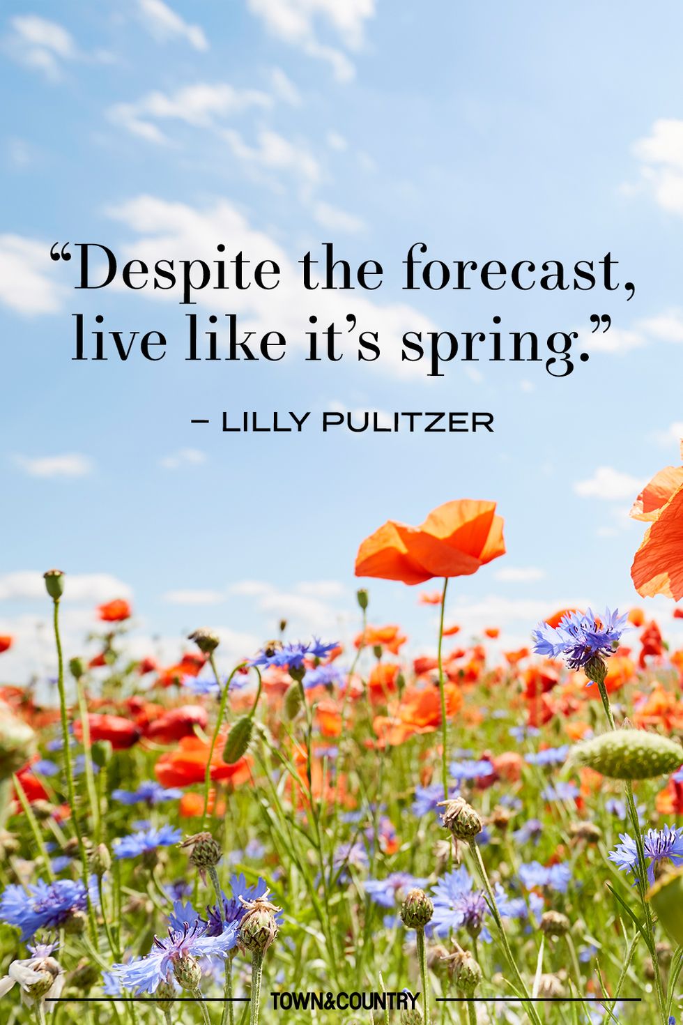 30+ Best Spring Quotes - Inspirational and Funny Sayings About Spring