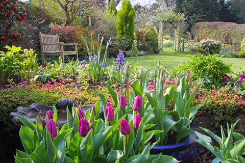 springtime in english domestic garden