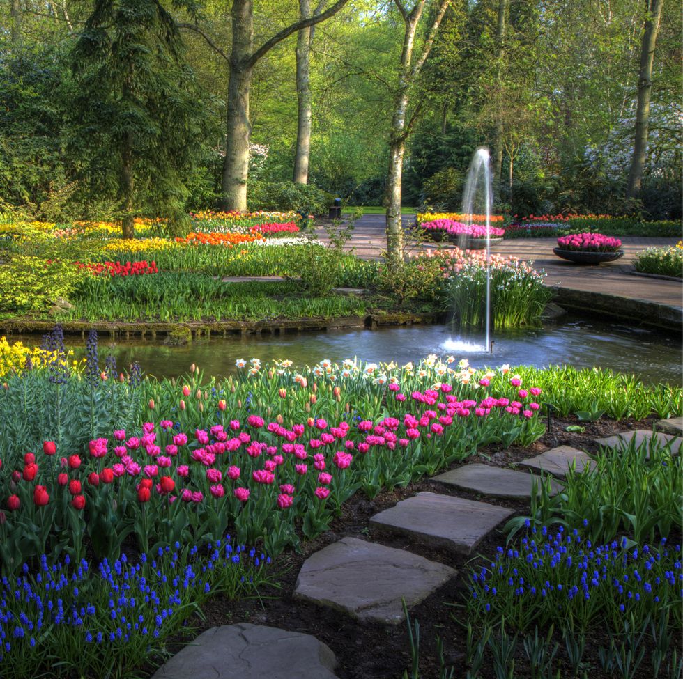 Springtime Keukenhof Gardens with pathway