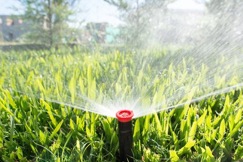 sprinkler in the garden, lawn fertilization, when to fertilize lawn, grass fertilizer tips