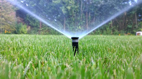 why lawn looks bad incorrect watering