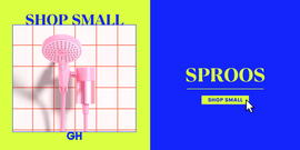 benjamin fix sproos interview, good housekeepings shop small initiative
